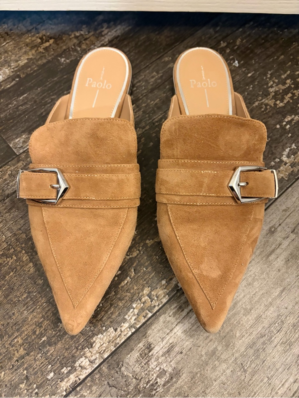 Paolo Cognac Suede Pointed Mules with Silver Buckle